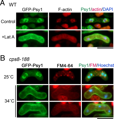 FIGURE 3: