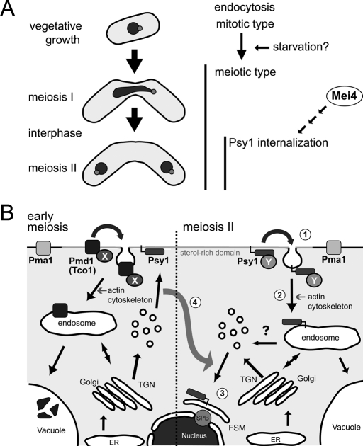 FIGURE 10: