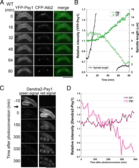 FIGURE 1: