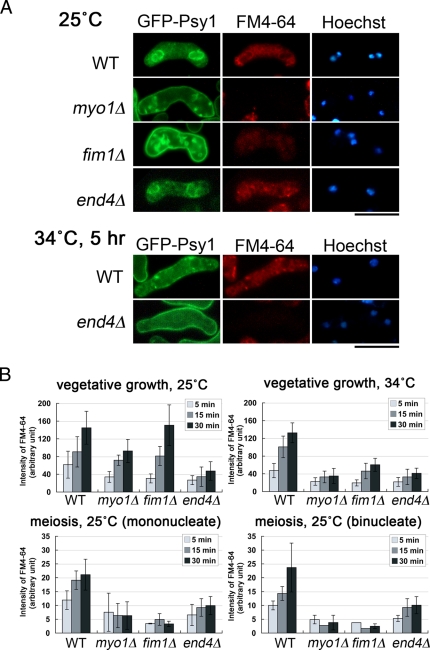 FIGURE 4: