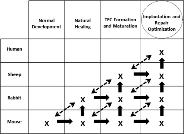 Fig. 15