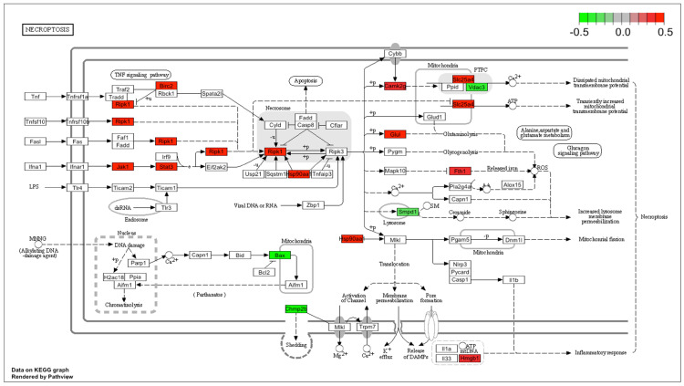 Figure 9