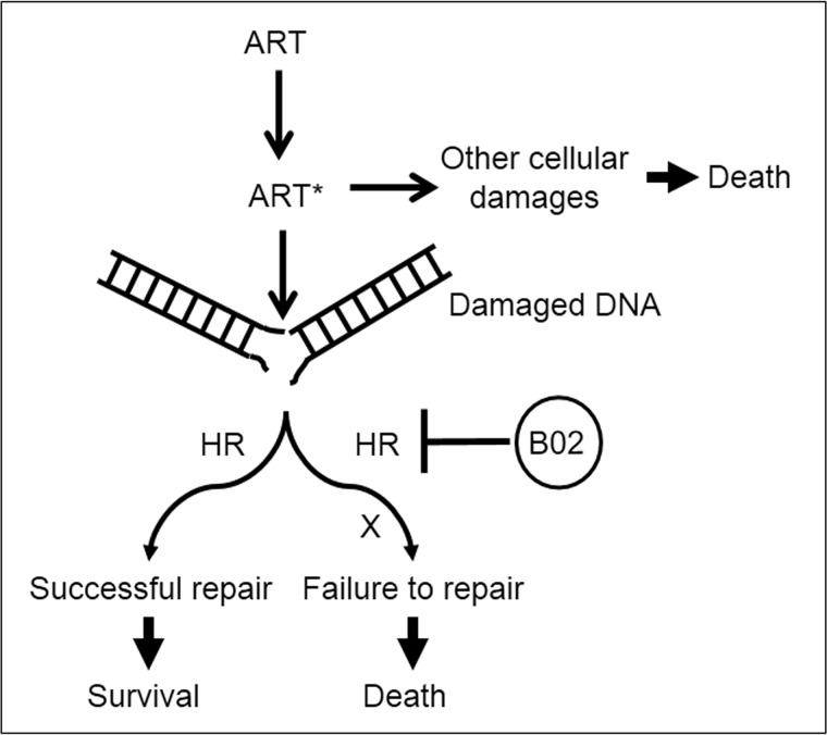 Figure 7.