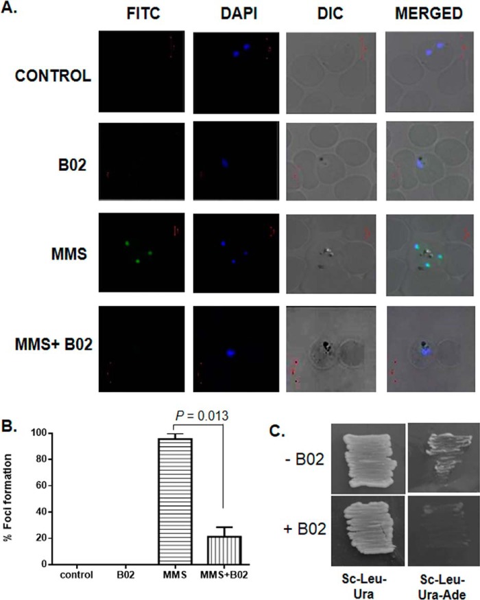 Figure 4.