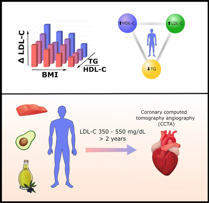 Graphical Abstract