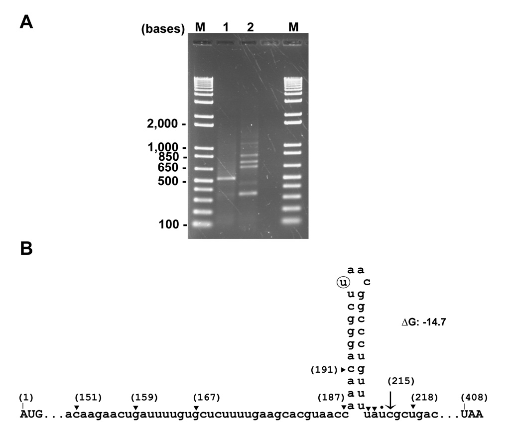 Fig. 9