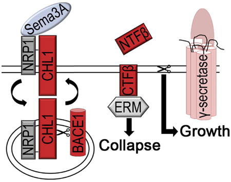 graphic file with name nihms760930u1.jpg