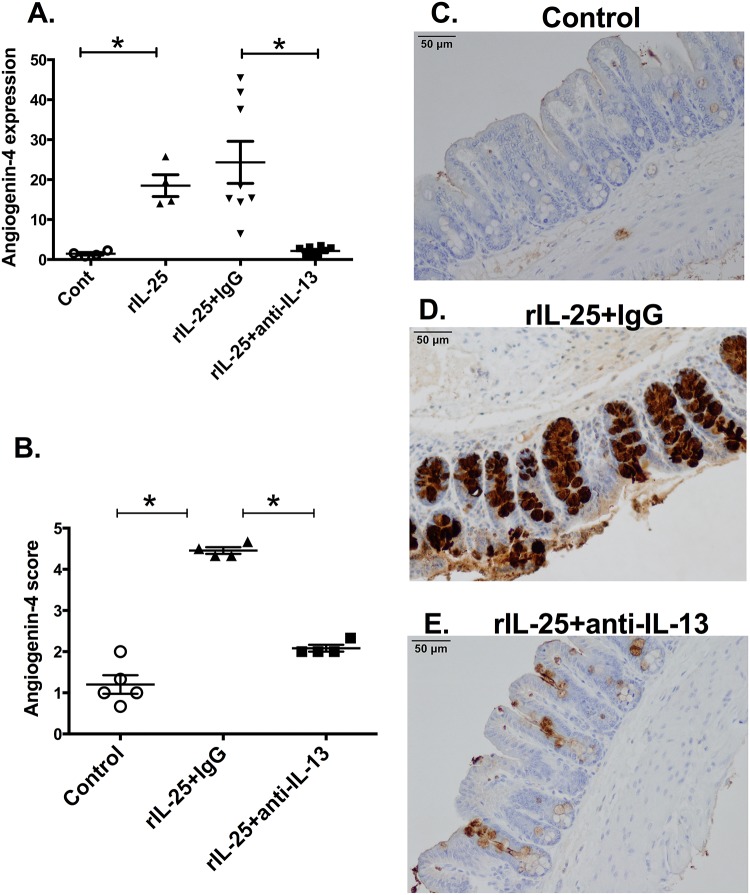 Fig 5