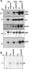 FIG. 4.