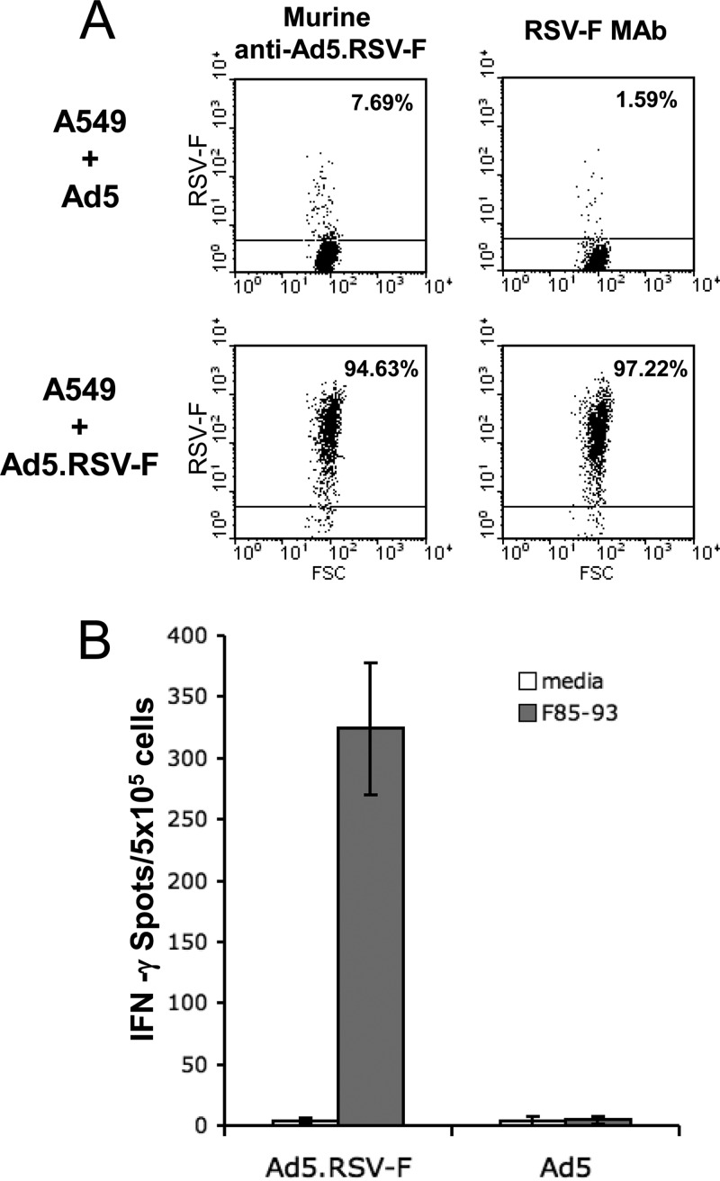 FIG 2