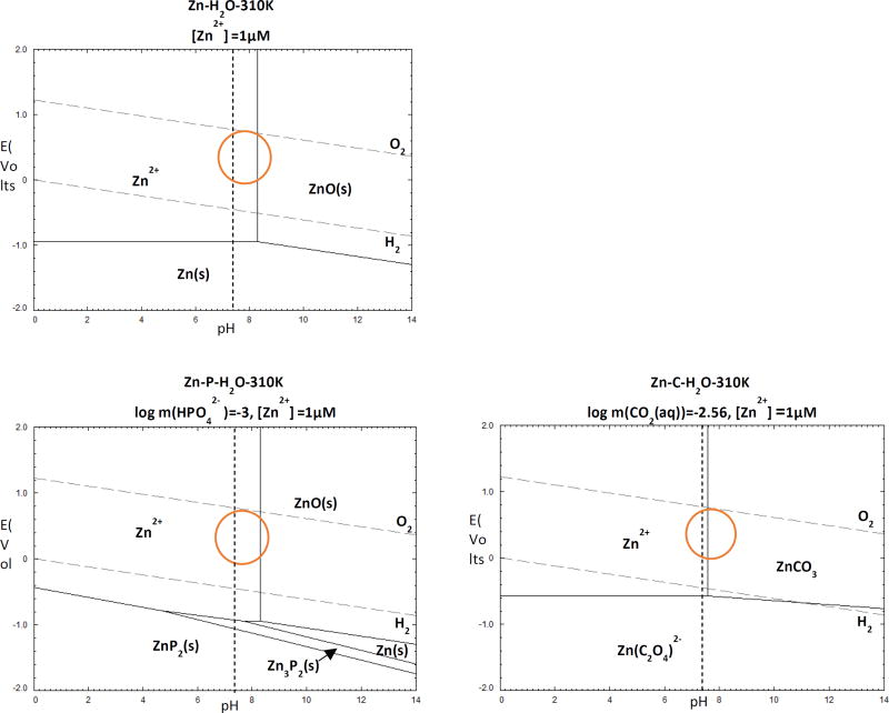 Figure.7