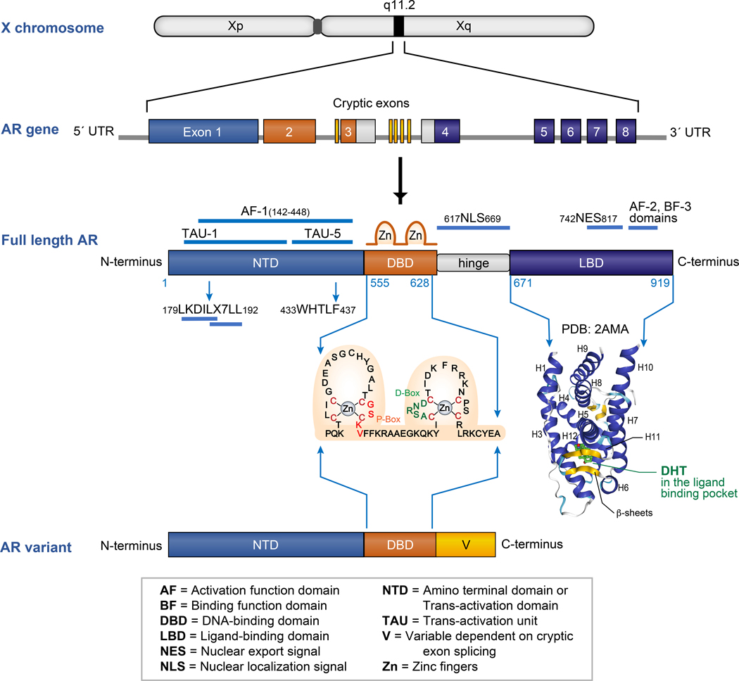 Figure 1: