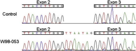 Figure 4