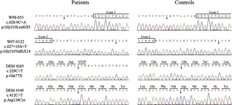 Figure 2