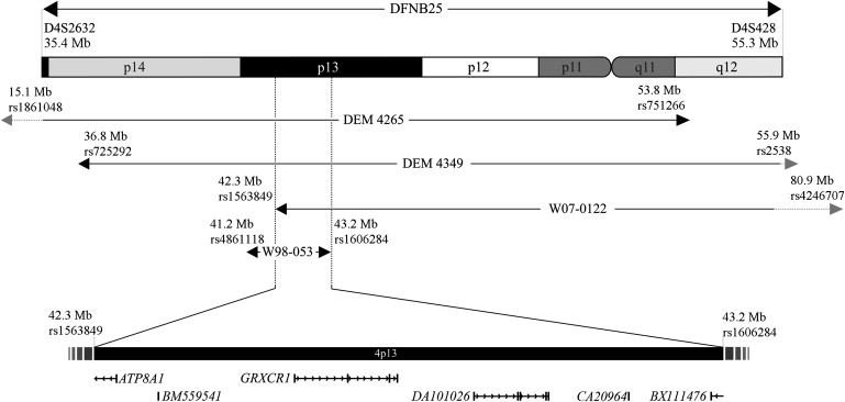 Figure 1