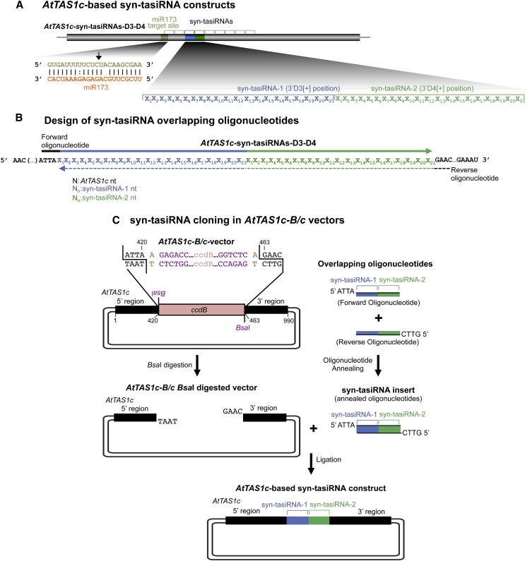 Figure 6.