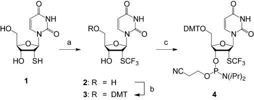 Scheme 1