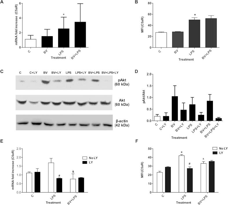 Supplementary Fig. S1