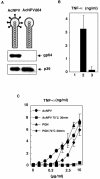 FIG. 1.