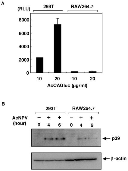 FIG. 8.