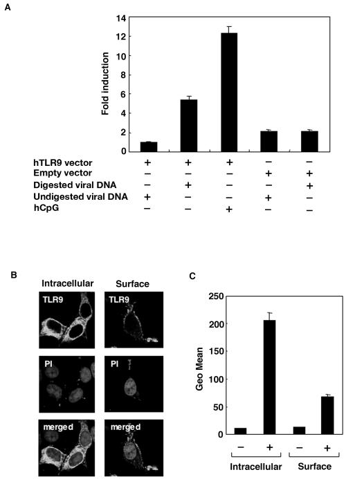 FIG. 6.