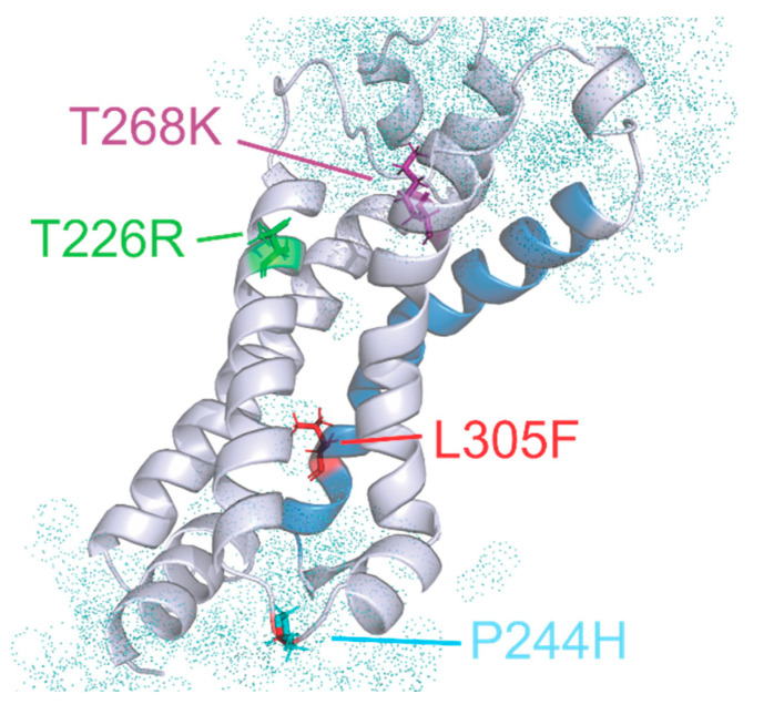 Figure 6