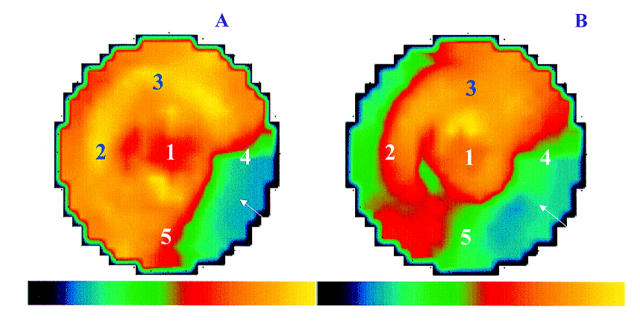 Figure 1  