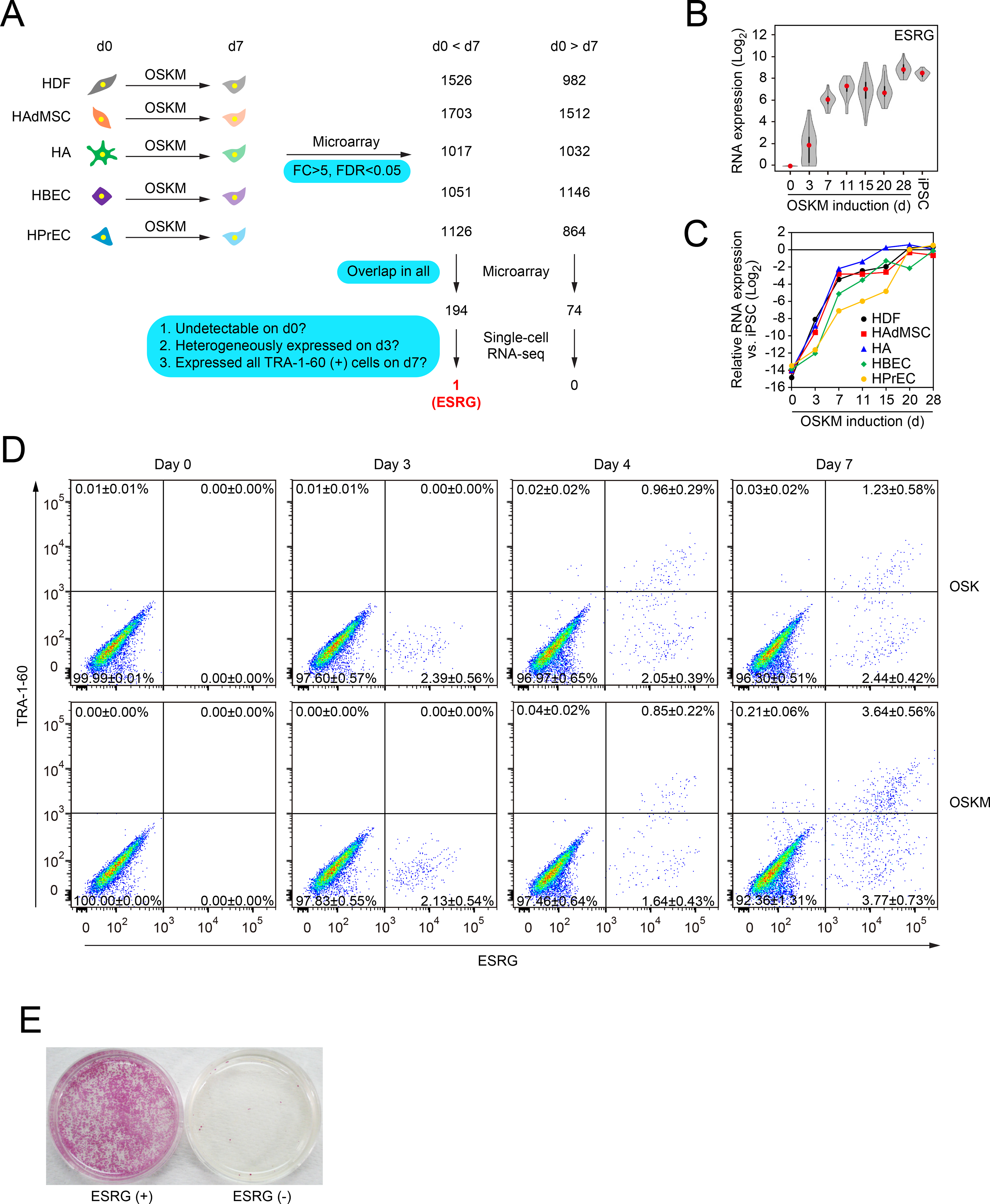 Figure 1: