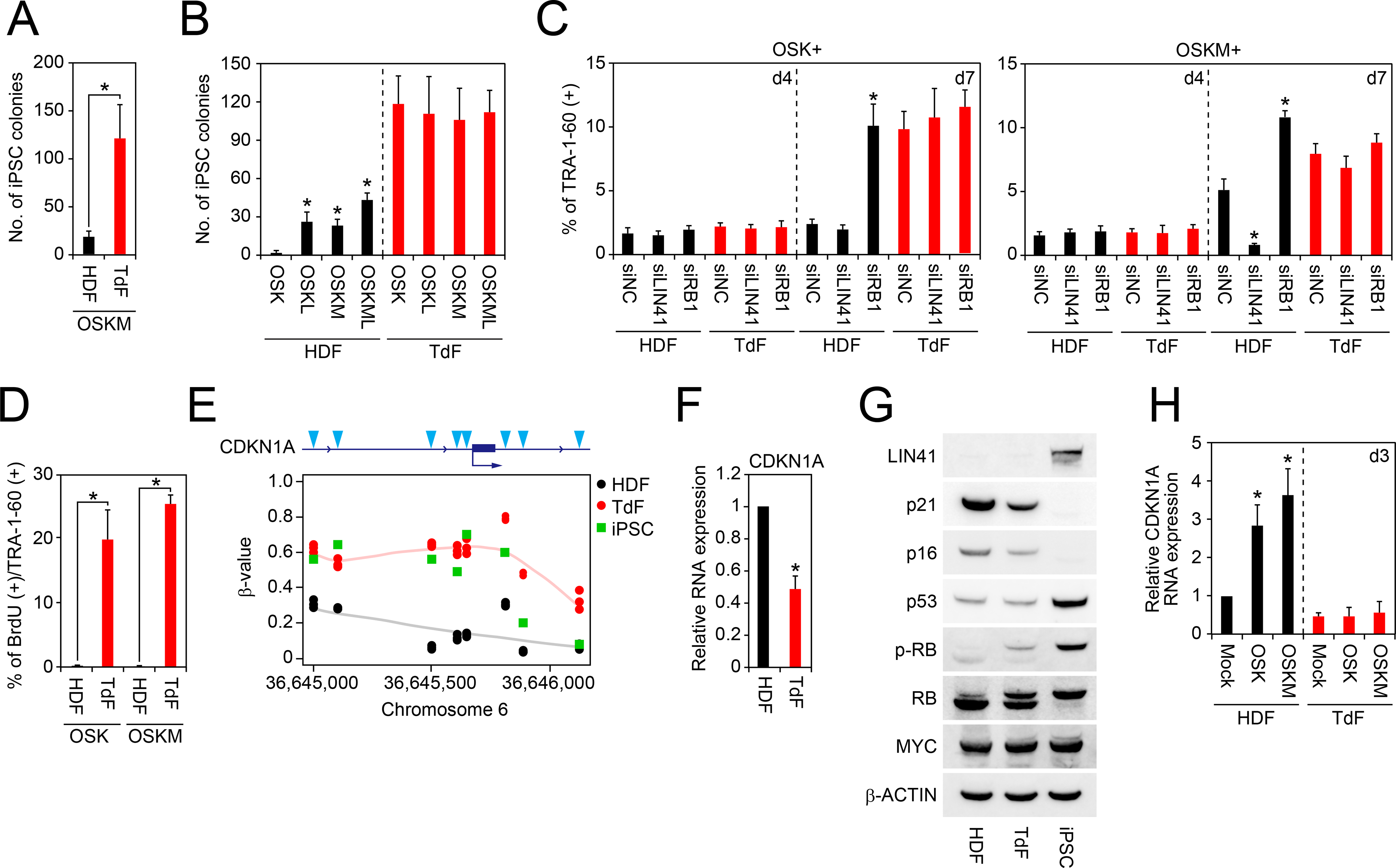 Figure 6: