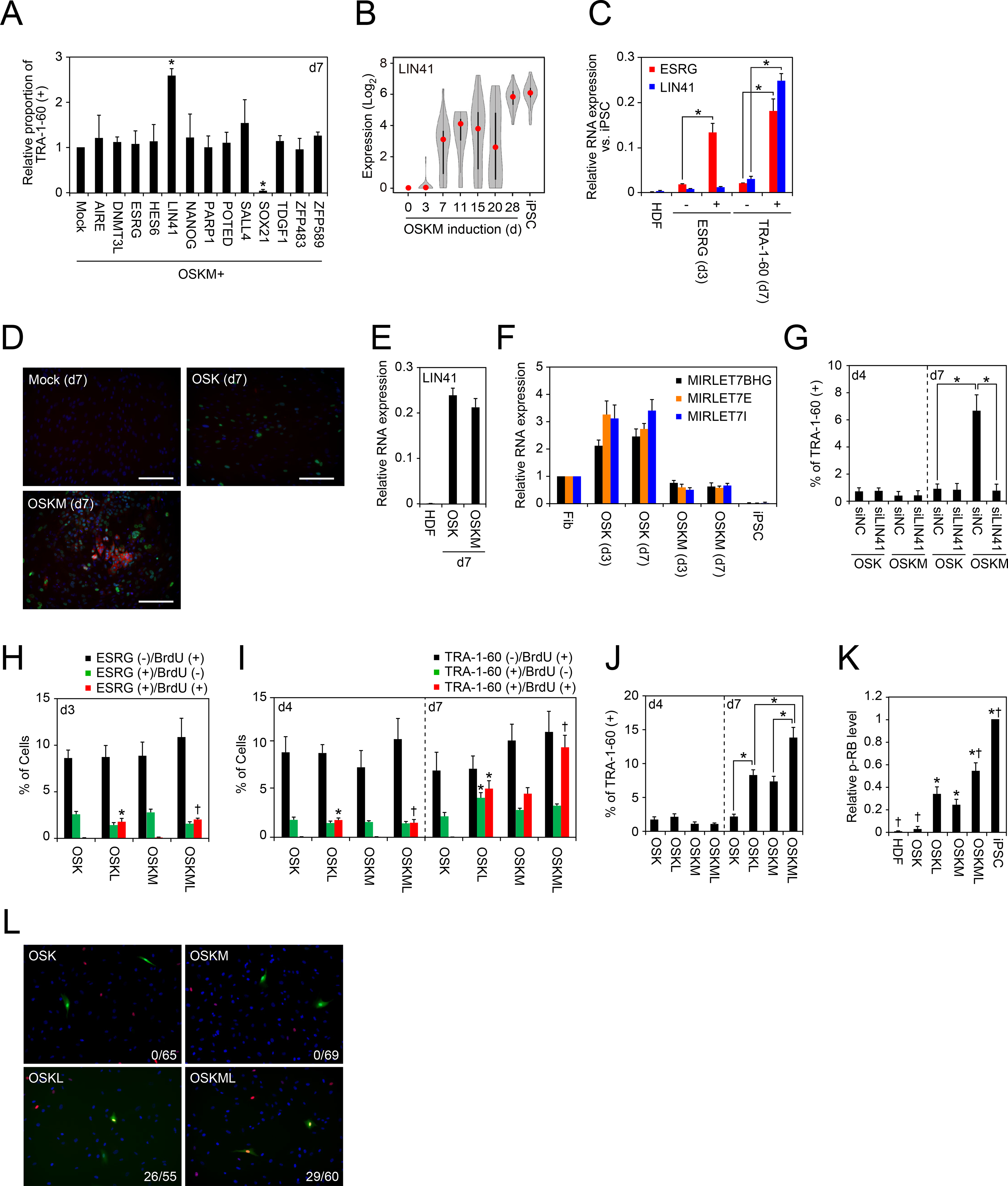 Figure 4: