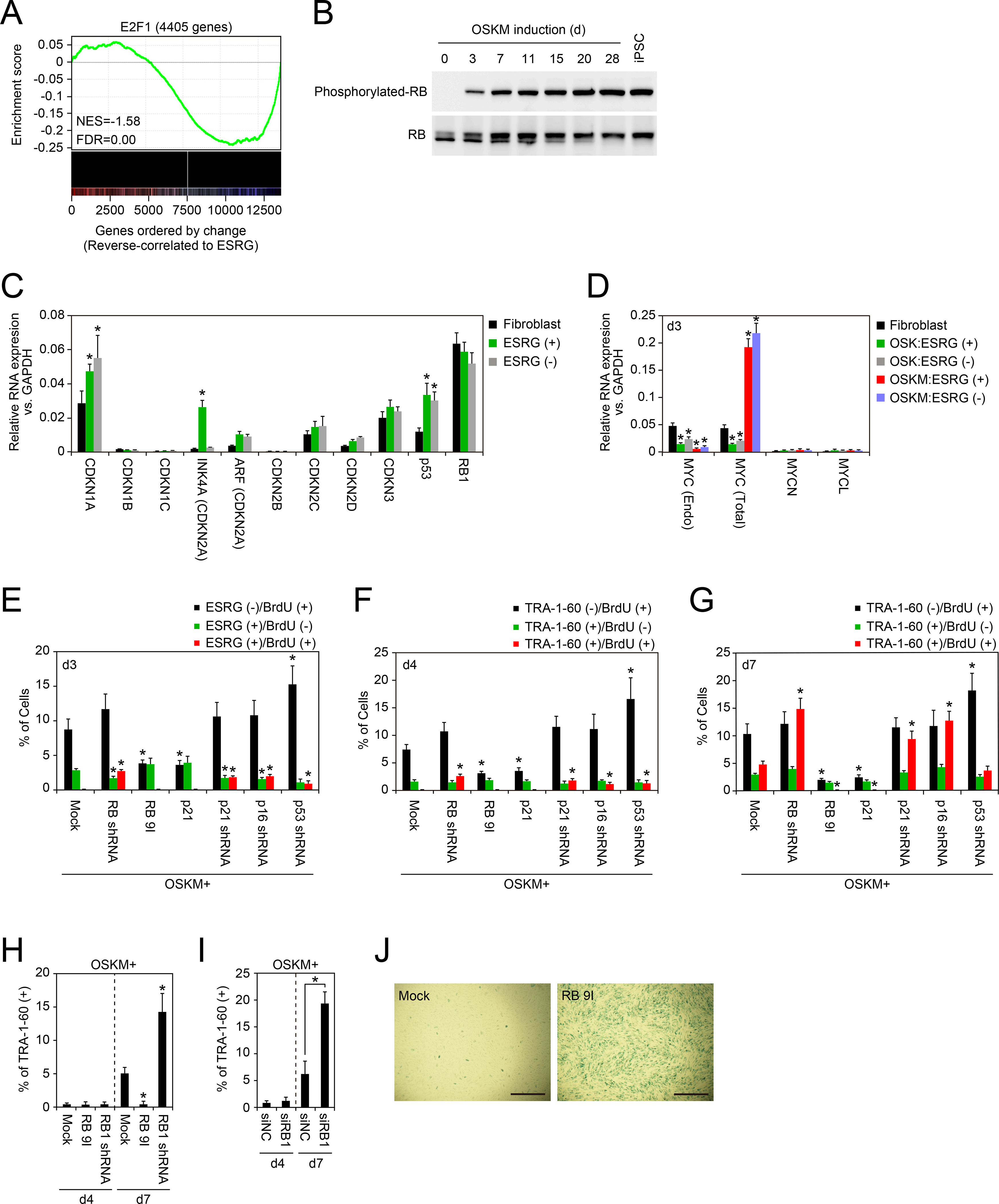 Figure 3: