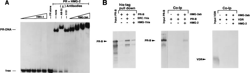 FIG. 7