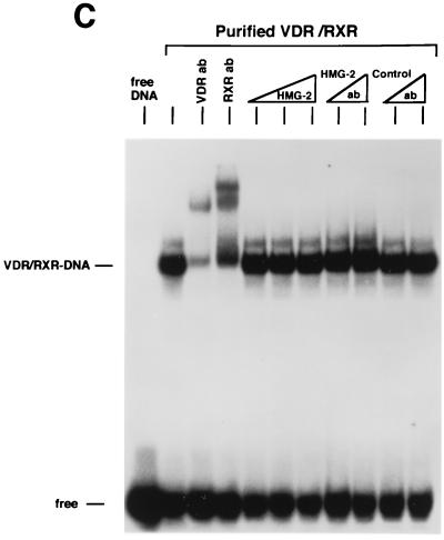 FIG. 6