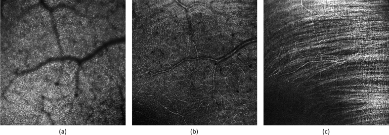 Fig. 10