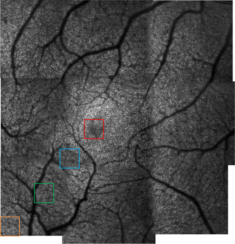 Fig. 8