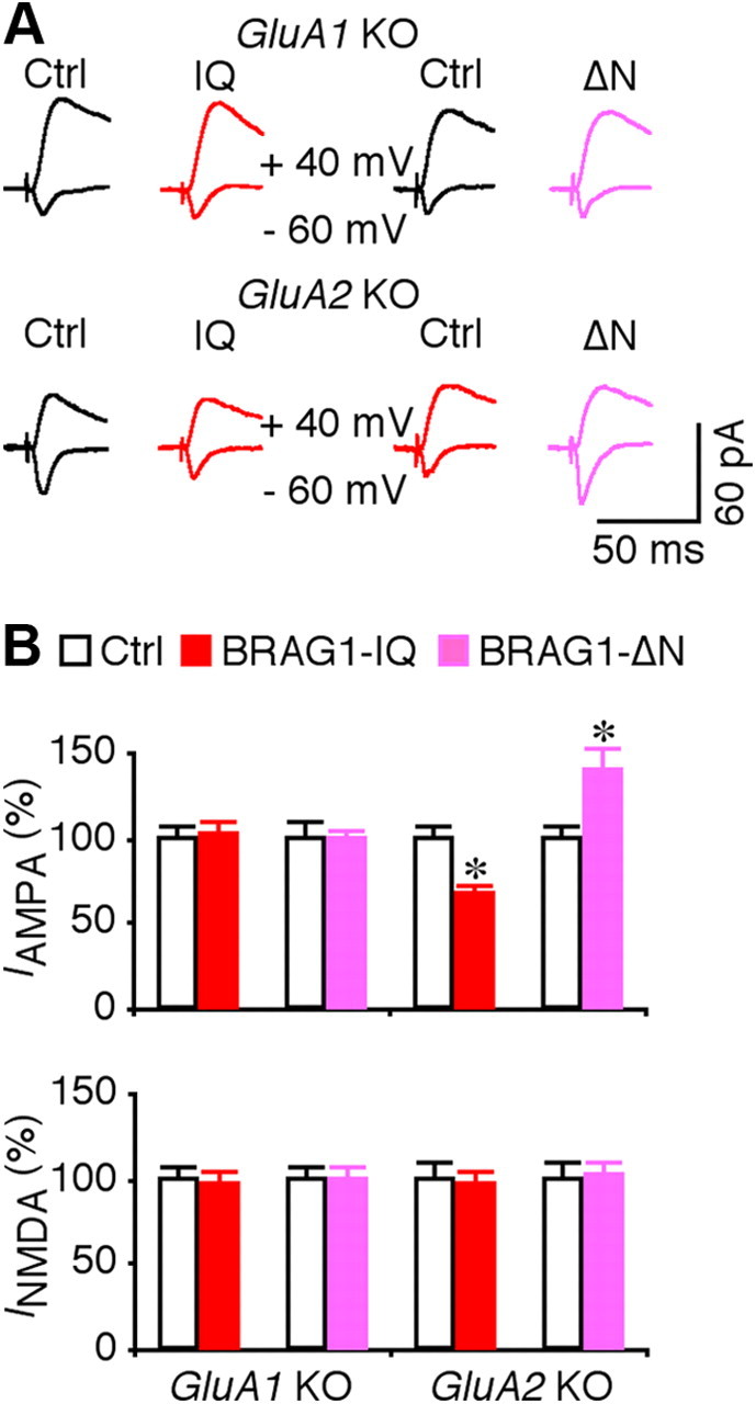 Figure 10.