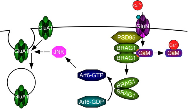 Figure 11.