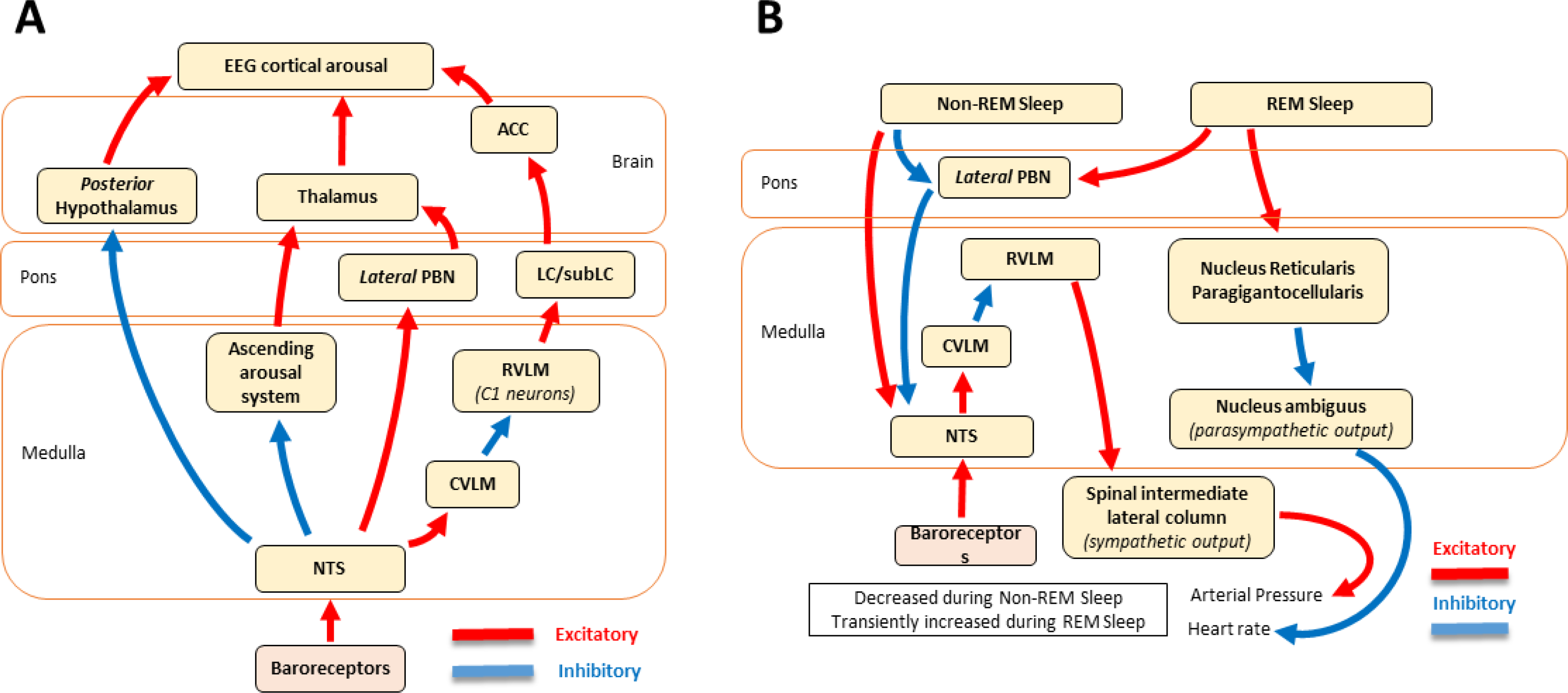 FIGURE 11.