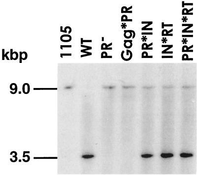 FIG. 5