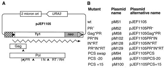 FIG. 1