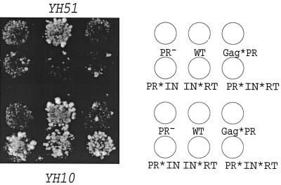 FIG. 4