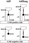 FIG. 8.