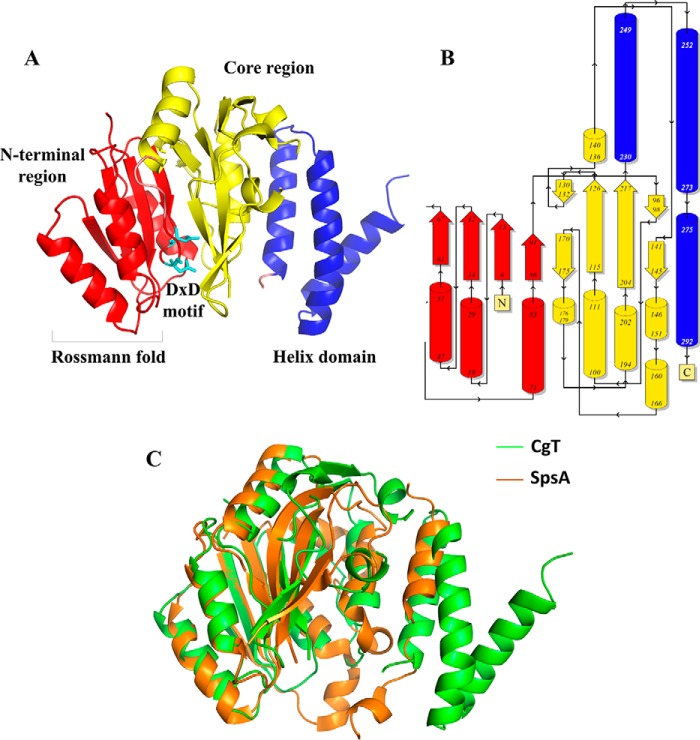 FIGURE 6.