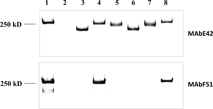 FIGURE 10.