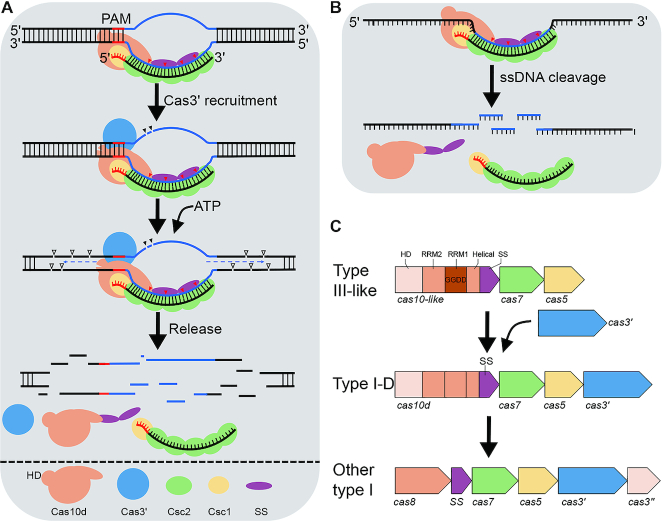 Figure 4.