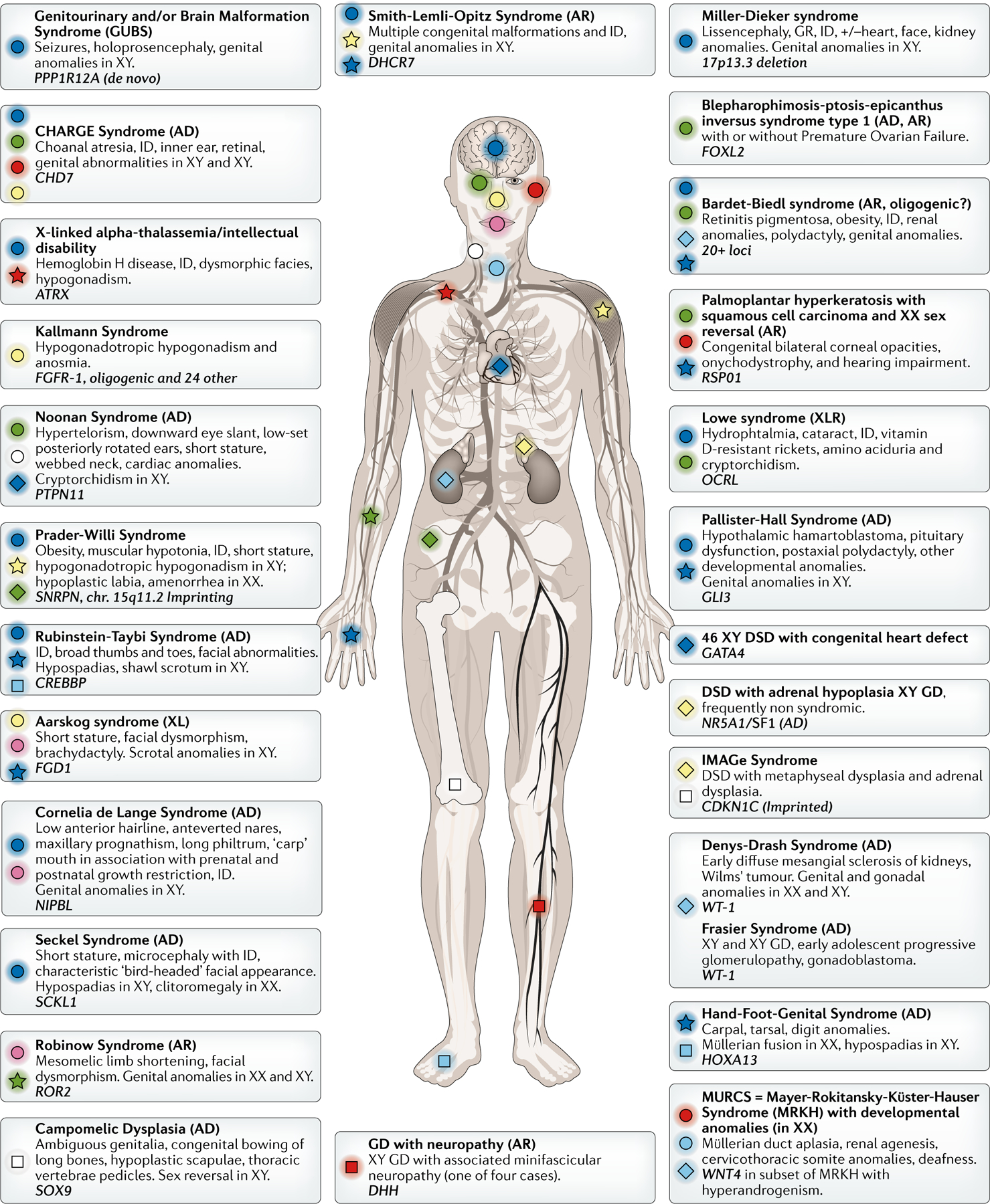 Figure 1: