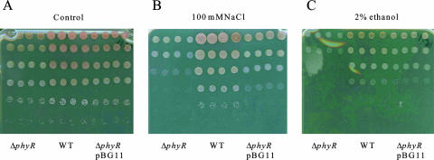 FIG. 5.