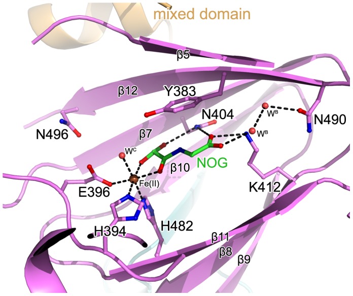 Figure 5