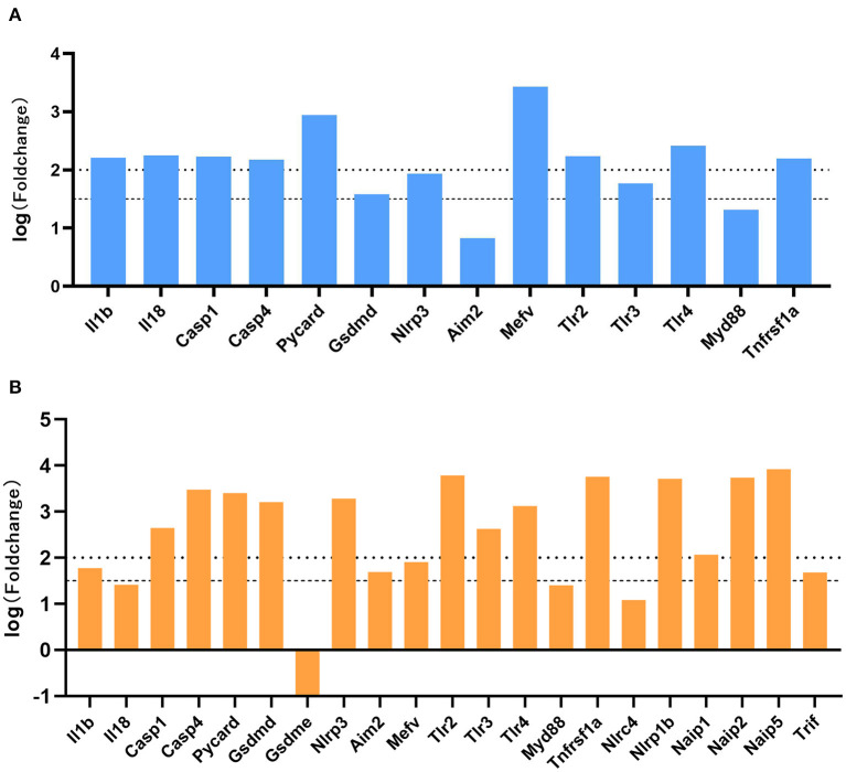 Figure 5