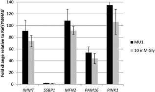 Figure 12